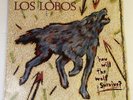 Los Lobos How Will The Wolf Survive Vinyl Record 12” 33 RPM BT-7047 BigTime 1984