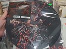 Blooddrunk by Children of Bodom (Record, 2008)