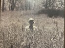 TAYLOR SWIFT: Folklore 