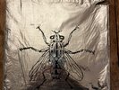 Butthole Surfers Self Titled 10