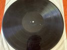 MYSTERY ACETATE Grotty Garage Rock Surf Rockabilly  Bruce Channel Bo Diddley