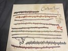 Cocteau Twins- twinlights (2 X 7”) EP (1995)