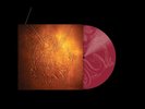 OLIVIA RODRIGO : CANT CATCH ME NOW STILL SEALED LIMITED EDITION MAROON ETCHED 7