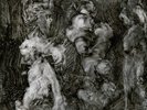 With Animals by Lanegan, Mark / Garwood, Duke
