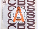 HICKORY - GREEN LIGHT 7