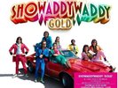 SHOWADDYWADDY - GOLD: GREATEST (GOLD COLOUR 180G VINYL LP) NEW