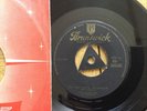 Bill Haley and His Comets: See You Later Alligator: Gold Text . 7” Vinyl Single