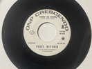 Tony Ritchie 1968 GARAGE FUZZ 45 Comin On Strong/Could You Really GNP DJ M- HEAR