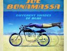 Joe Bonamassa Different Shades of Blue (Vinyl) 12