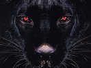 Assassin (2) Touche D'Espoir - LP 33T x 2