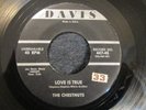 CHESTNUTS Love Is True/ It's You I Love  Doo Wop R&B Rock 45 Orig.