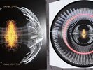 Pearl Jam Dark Matter Zoetrope Blood Records Limited 834/1000 IN HAND