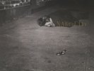 Naked City by John Zorn (Record, 2016)