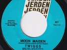 TWIGGS Moon Maiden FUZZ DRENCHED US heavy psych 45 garage intense bonehead HEAR