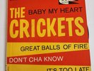 The Crickets 