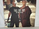 Fall Out Boy - Save Rock And Roll Music 10'' Red Clear Vinyl 2 LP Record