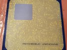 Psychedelic Unknowns - PSY 101 - Calico Records - VINYL LP - 1979