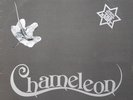 Frankie Valli - Chameleon, LP, (Vinyl)
