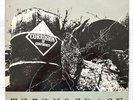 CORROSION OF CONFORMITY Technocracy LP 1987 Death *Vinyl in superb condition *