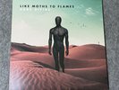 Like Moths to Flames DARK DIVINE Highlighter Yellow With Black Splatter