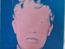 Half Man Half Biscuit Back In The D.H.S.S. LP Album Vinyl Record PROBE4 VG+ VG+