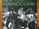 New York City Hardcore The Way It Is From Revelation Recs. on Blue Vinyl