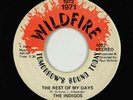 Crossover Soul 45 - Indigos - The Rest Of My Days - Wildfire