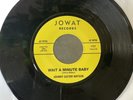 Johnny Guitar Watson Wait A Minute Baby Ain't Gonna Move 45 Unofficial NM