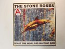 Stone Roses:  What The World Is Waiting For / Fools Gold  1989  EX  12