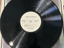 JANIS IAN Advance Promotional 33 1/3 Long Play 1975 CBS Columbia Records 334941A
