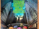 Teenage Mutant Ninja Turtles Lp 1990