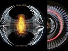 Pearl Jam Dark Matter Zoetrope Blood Records Exclusive Limited /1000