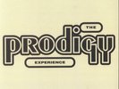PRODIGY, The - Experience - Vinyl (gatefold 2xLP)