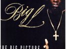 Big L - The Big Picture (1974 - 1999) '00 2xLP US ORG EX-/EX