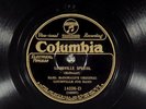 78 RPM -- Earl McDonald's Louisville Jug Band, Columbia 14226,  E/EE- Blues