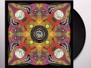 Common Saints - Idol Eyes BLACK 12