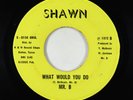 Sweet Soul Funk 45 - Mr. B - What Would You Do - Shawn