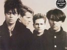 Echo & The Bunnymen WEA Vinyl LP