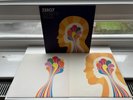Zero 7 When it Falls 2LP vinyl First press 2004