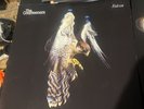 Courteeners Falcon RSD