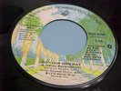 FLEETWOOD MAC - GO YOUR OWN WAY / SILVER SPRINGS - NM VINYL & GREAT AUDIO (WIN)