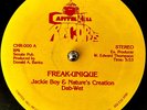 JACKY BOY & NATURE'S CREATION - Freak Unique - 12in RARE D.C BOOGIE FUNK;DISCO