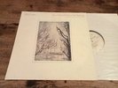 BILL EVANS YOU MUST BELIEVE IN SPRING WARNER GERMANY 1981 LP 33 Tours