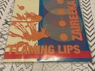 Flaming Lips Zaireeka Vinyl