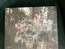 La Dispute - Wildlife (2014) Purple Vinyl - NM