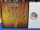 LP - VAN DER GRAAF GENERATOR - Still Life - Charisma Germany NM first press