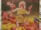 CANNIBAL CORPSE VIOLENCE UNIMAGINED 12