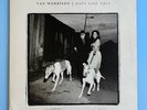 Van Morrison Days Like This Vinyl LP Album 1995 Original Polydor/ Exile