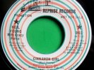FOLK ROCK 45 NEIL YOUNG & CRAZY HORSE SUGAR MOUNTAIN CINNAMON GIRL RARE PROMO
