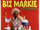Biz Markie - The Biz Never Sleeps LP - Cold Chillin' SEALED
